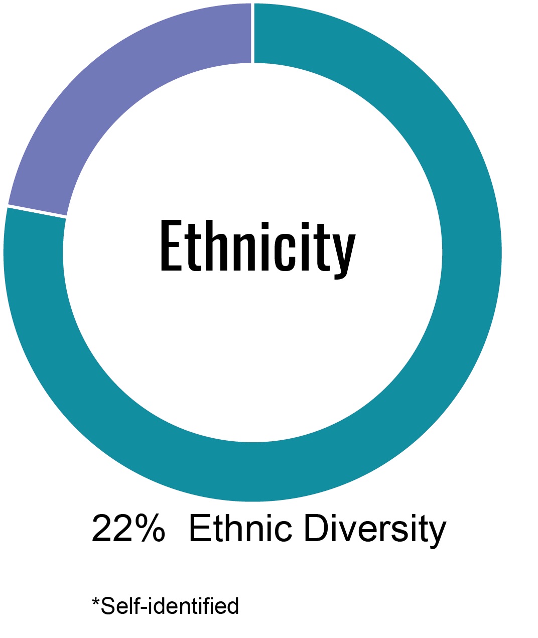ethnicity.jpg